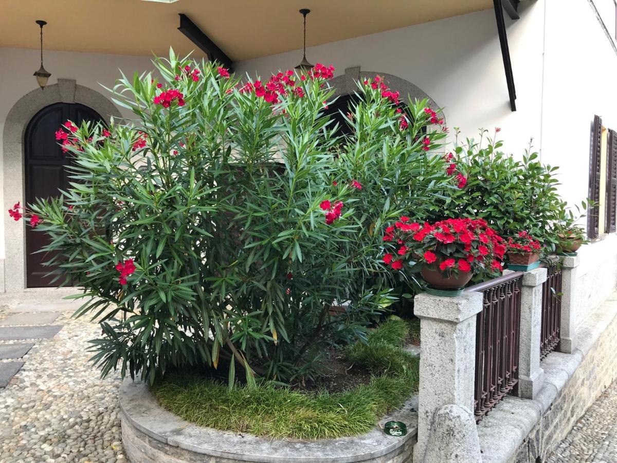 Villa Ombrosa Nebbiuno Ngoại thất bức ảnh