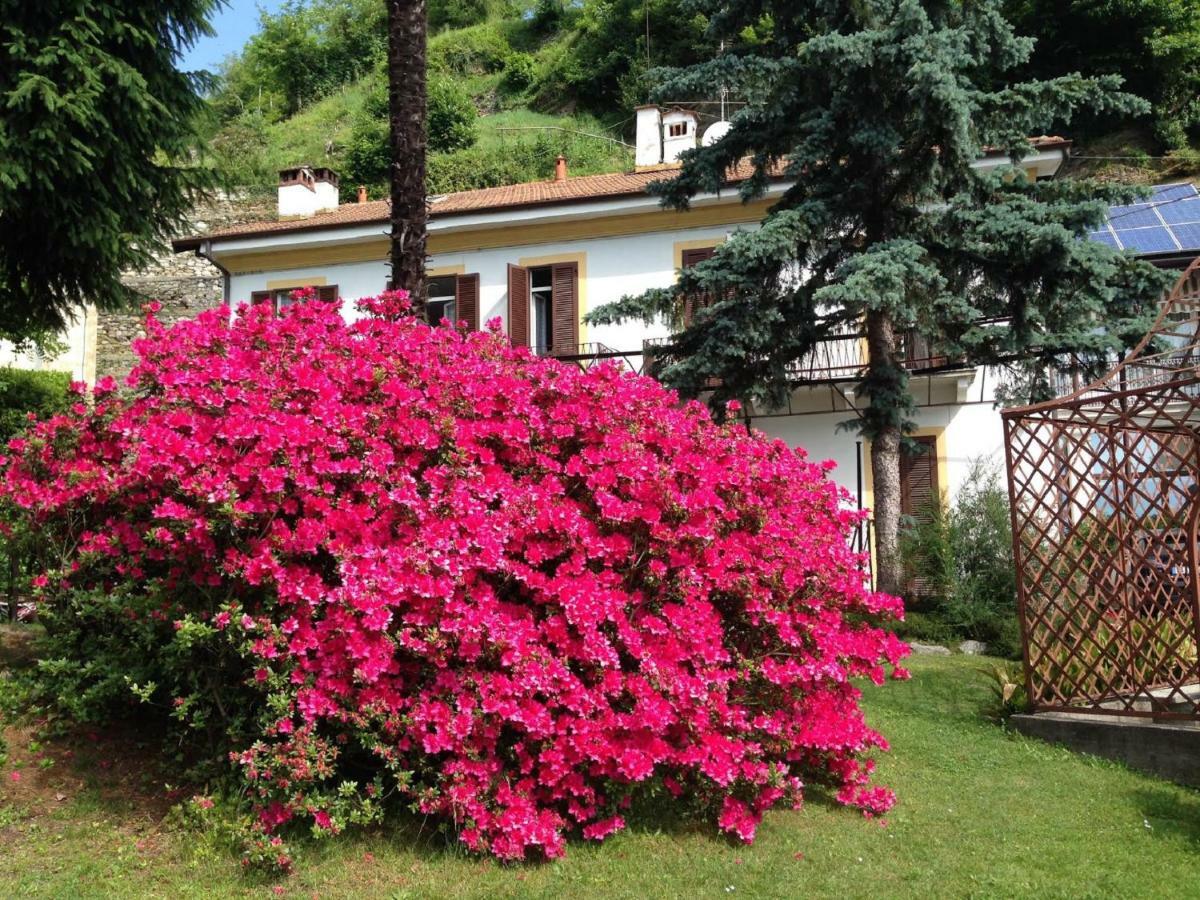Villa Ombrosa Nebbiuno Ngoại thất bức ảnh